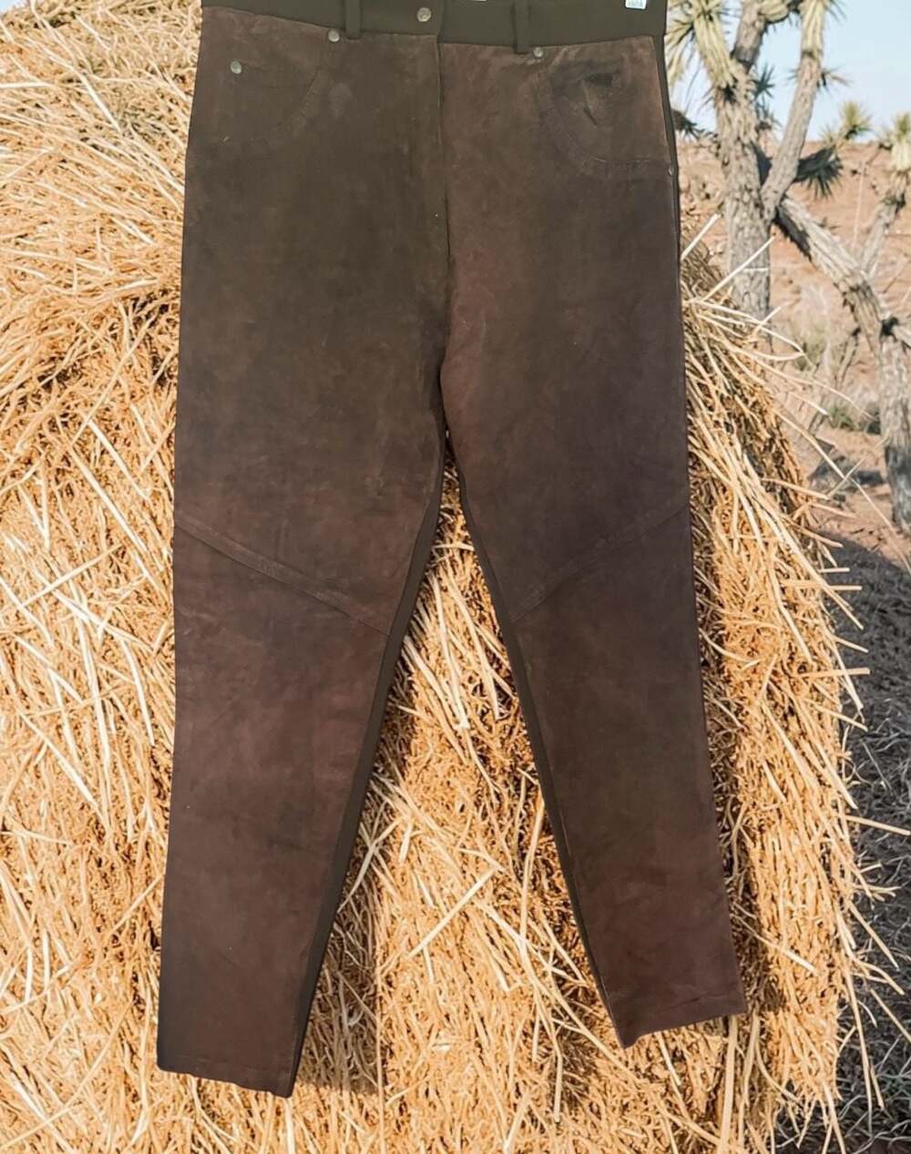 Caché Vintage Brown Suede Front High-Waisted Stretch Pants